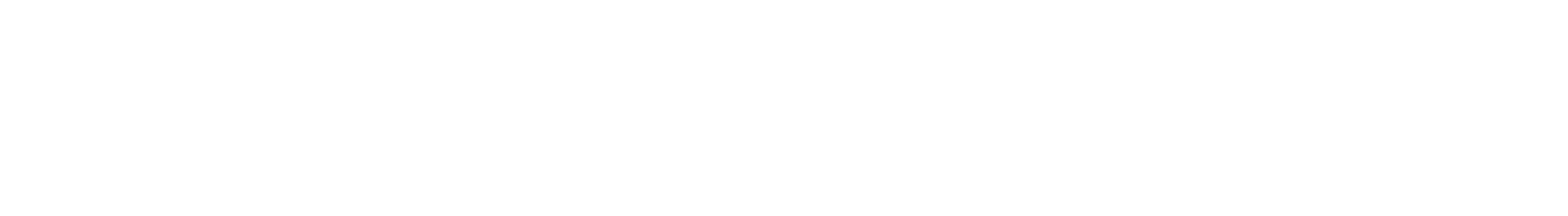Campernet Logo - Internet für das Wohnmobil
